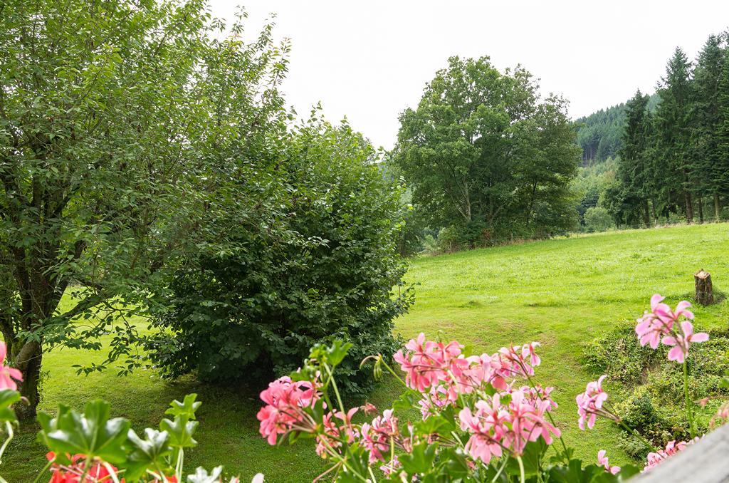 Gasthof & Landhotel Ohrnbachtal Weilbach Extérieur photo
