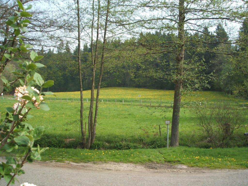 Gasthof & Landhotel Ohrnbachtal Weilbach Extérieur photo